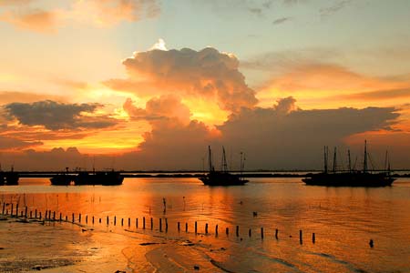 Đồ Sơn tổ chức lễ thượng cờ khai hội đảo Dấu